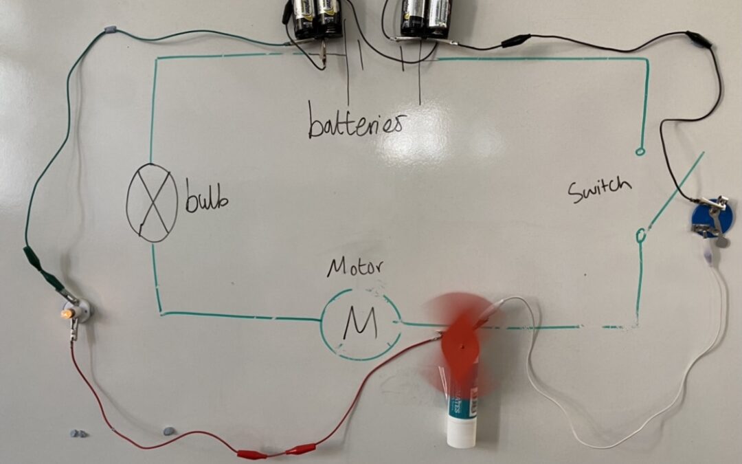 Science Week