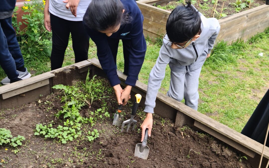 Year 5 Gardening Club
