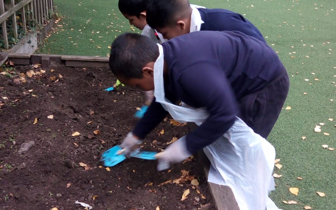 Gardening Club
