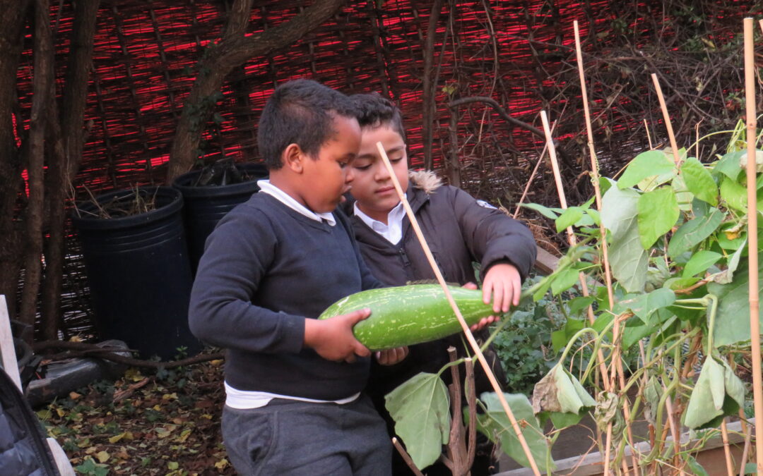 Gardening Club