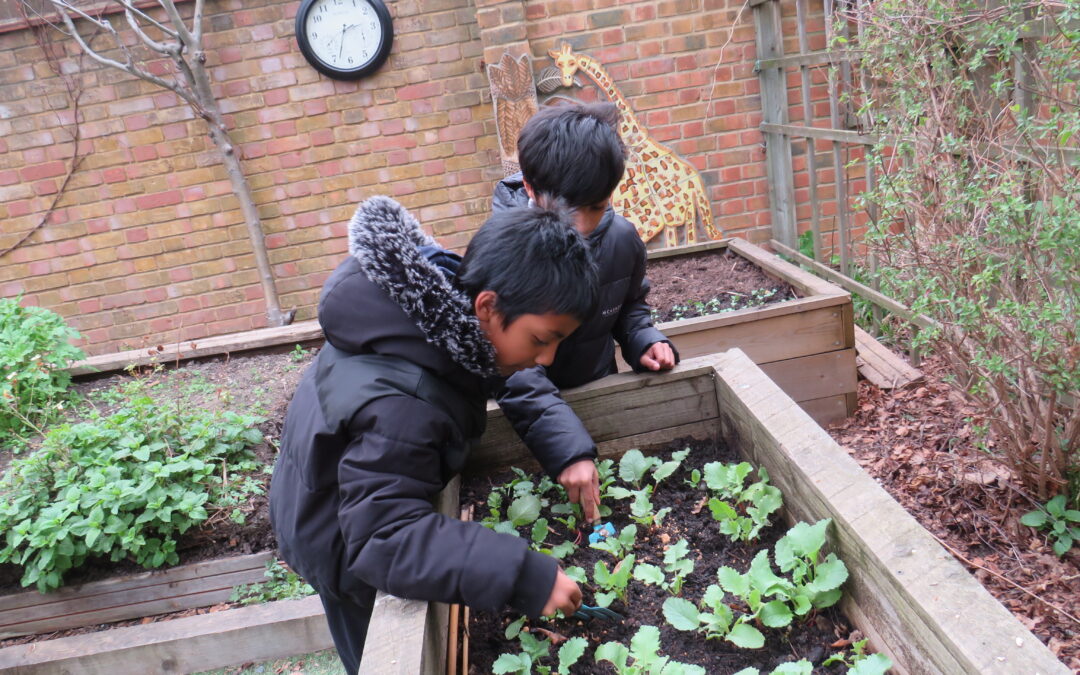Gardening club