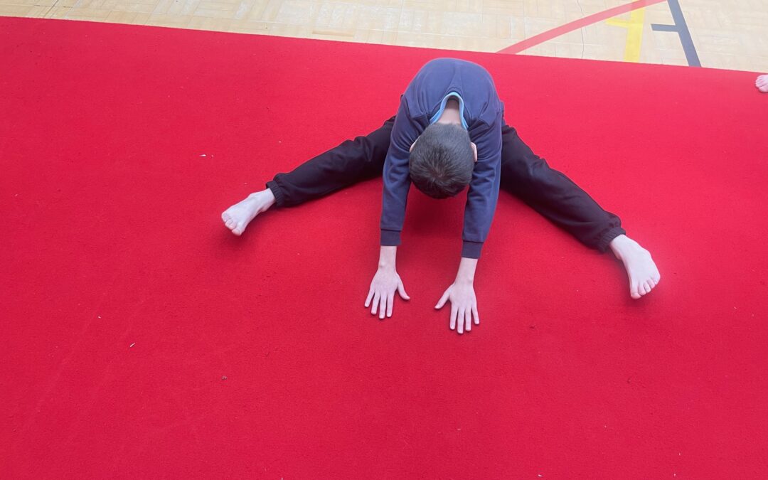 Gymnastics