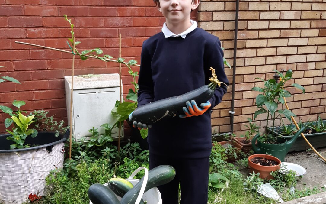 Gardening club