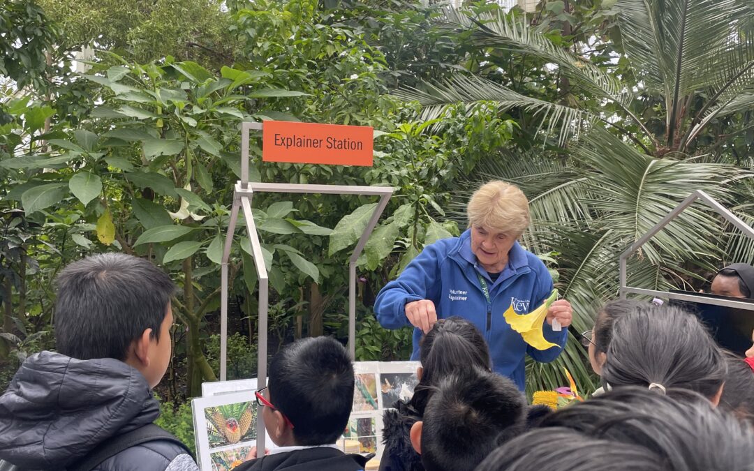Year 4 trip to Kew Gardens