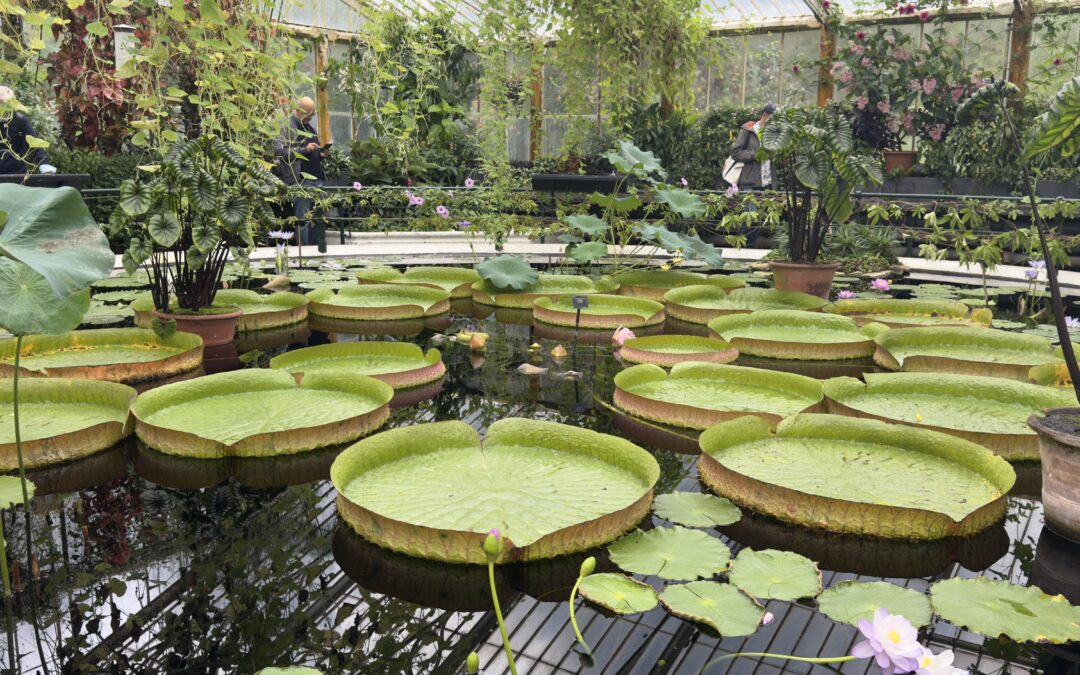 Kew Gardens