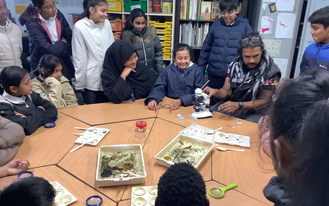 Year 6 Soanes Centre