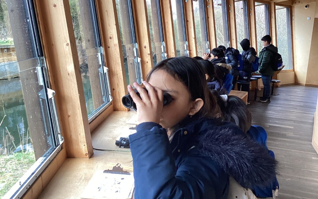 Year 6 – River Lee Country Park