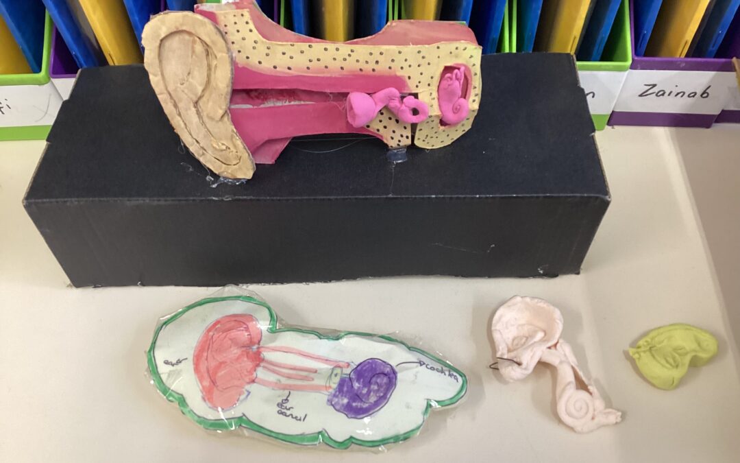 Year 4’s Home Learning